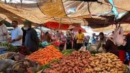 أخبار بالعربي