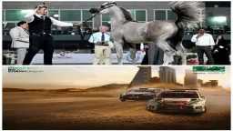 السعودية تتألق في نوفمبر 2025.....