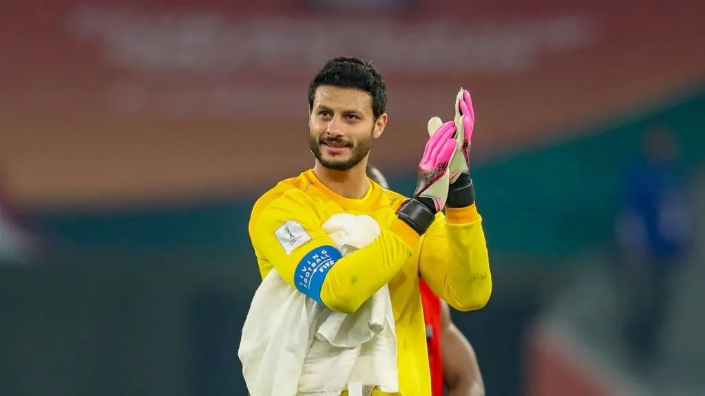 محمد الشناوي