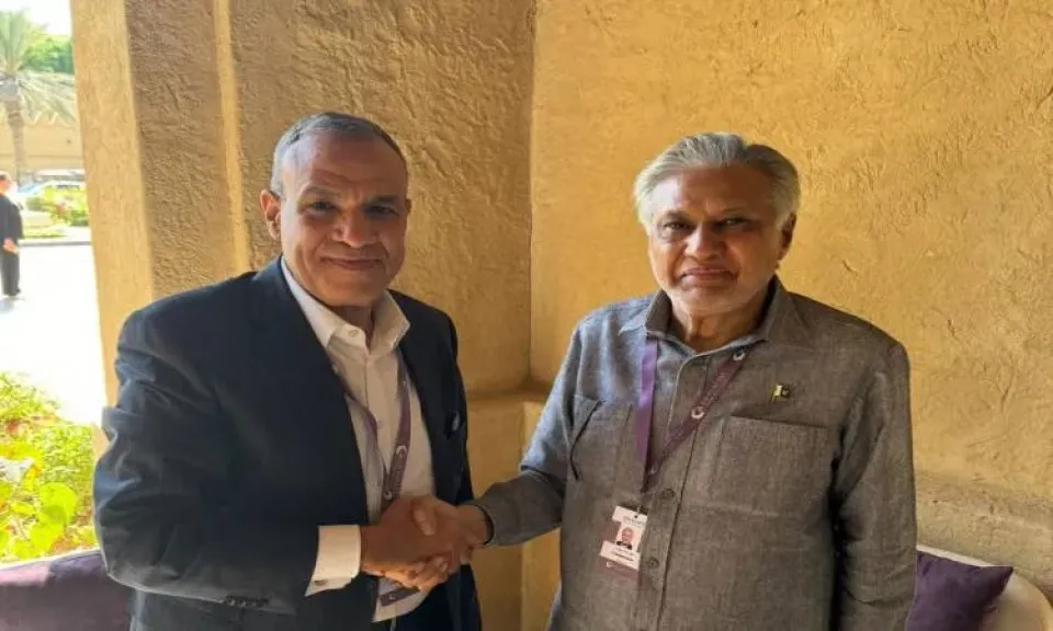 وزيرا خارجية مصر وباكستان