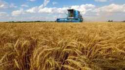 روسيا تخفض رسوم تصدير الحبوب...