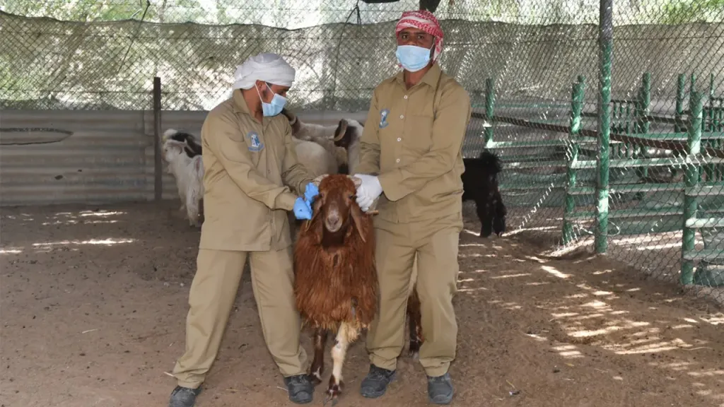 الزراعة والثروة الحيوانية في أبوظبي