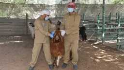 اقتصاد بالعربي