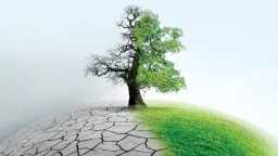 السعودية تعزز مكانتها كمركز عالمي...