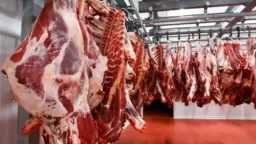 اقتصاد بالعربي