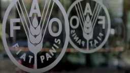 أخبار بالعربي