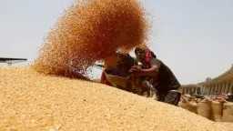 أخبار بالعربي