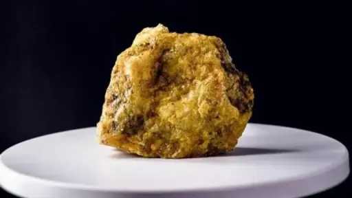 علوم بالعربي