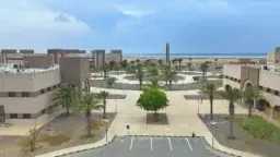 أخبار بالعربي