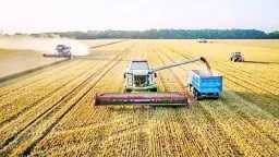 اقتصاد بالعربي