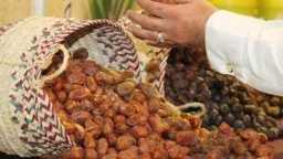 أخبار بالعربي