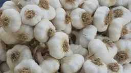 أخبار بالعربي