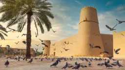 حياة ومجتمع