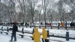 الثلوج تقتحم أمريكا.. تحذيرات من...