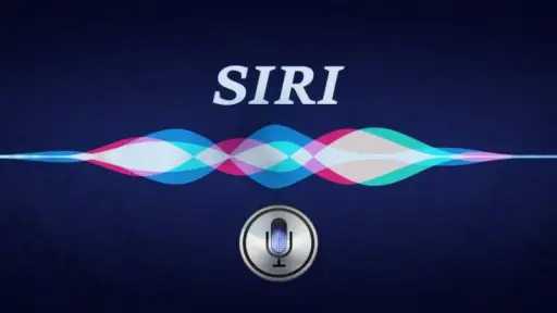 علوم بالعربي