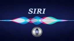 علوم بالعربي