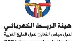 بدء تنفيذ مشروع الربط الكهربائي...