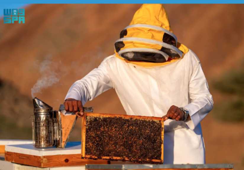 اقتصاد بالعربي