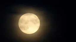 علوم بالعربي