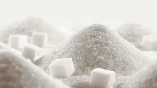 طريق الحقيقة