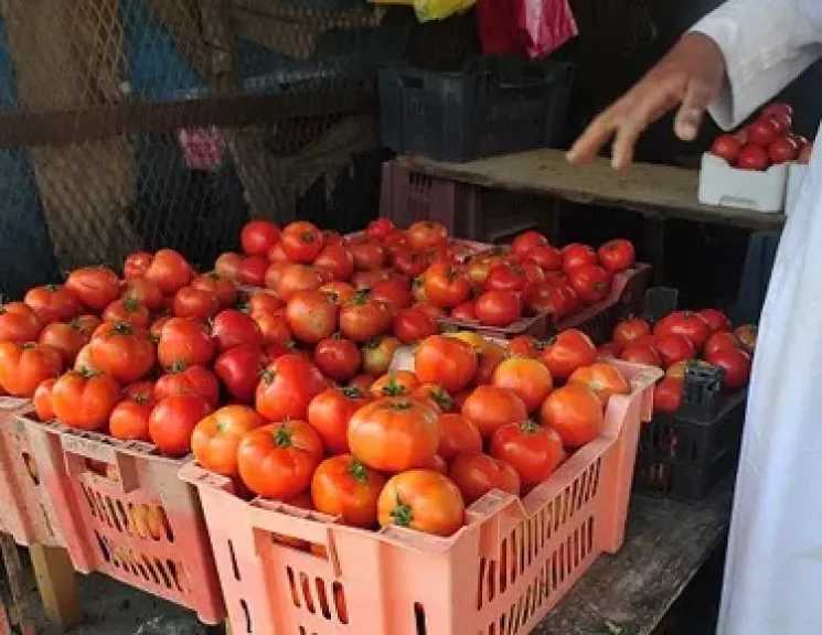 اقتصاد بالعربي