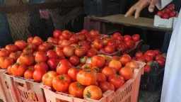 اقتصاد بالعربي